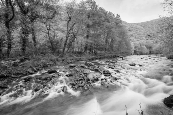 在Exmoor国家公园的Watersmeet 长期暴露在流经Doone山谷的East Lyn河中 — 图库照片