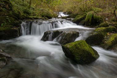 Sonbaharda Exmoor Ulusal Parkı 'ndaki Watersmmet' te Hoar Oak Nehri 'nde bir şelaleye uzun süre maruz kalmak