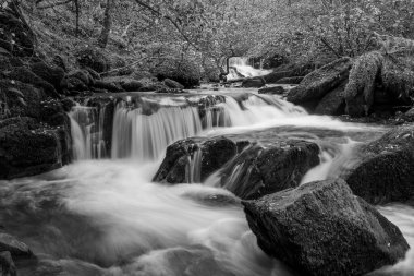 Sonbaharda Exmoor Ulusal Parkı 'ndaki Watersmmet' te Hoar Oak Nehri 'nde bir şelaleye uzun süre maruz kalmak