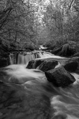 Sonbaharda Exmoor Ulusal Parkı 'ndaki Watersmmet' te Hoar Oak Nehri 'nde bir şelaleye uzun süre maruz kalmak