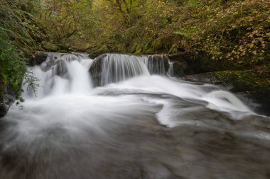 Sonbaharda Exmoor Ulusal Parkı 'ndaki Watersmmet' te Hoar Oak Nehri 'nde bir şelaleye uzun süre maruz kalmak