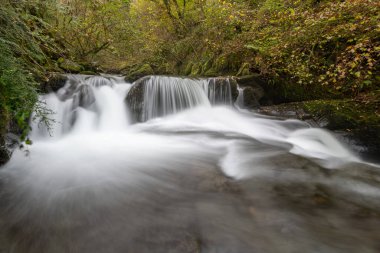 Sonbaharda Exmoor Ulusal Parkı 'ndaki Watersmmet' te Hoar Oak Nehri 'nde bir şelaleye uzun süre maruz kalmak