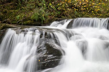 Sonbaharda Exmoor Ulusal Parkı 'ndaki Watersmmet' te Hoar Oak Nehri 'nde bir şelaleye uzun süre maruz kalmak