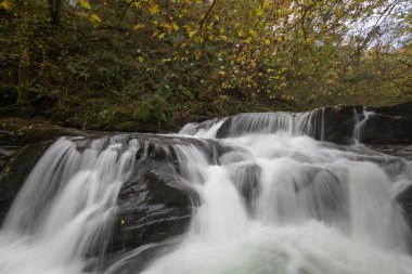 Sonbaharda Exmoor Ulusal Parkı 'ndaki Watersmmet' te Hoar Oak Nehri 'nde bir şelaleye uzun süre maruz kalmak