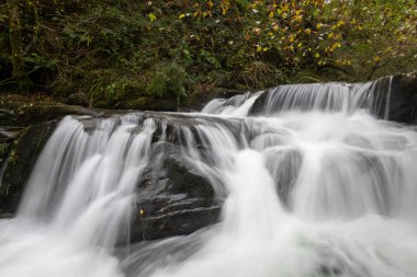 Sonbaharda Exmoor Ulusal Parkı 'ndaki Watersmmet' te Hoar Oak Nehri 'nde bir şelaleye uzun süre maruz kalmak