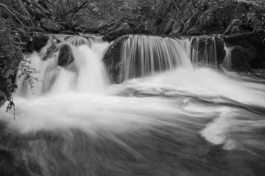 Watersmmet, Exmoor Ulusal Parkı 'ndaki Hoar Oak Nehri' ndeki bir şelalenin siyah ve beyaz fotoğrafı. 