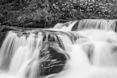 Watersmmet, Exmoor Ulusal Parkı 'ndaki Hoar Oak Nehri' ndeki bir şelalenin siyah ve beyaz fotoğrafı. 