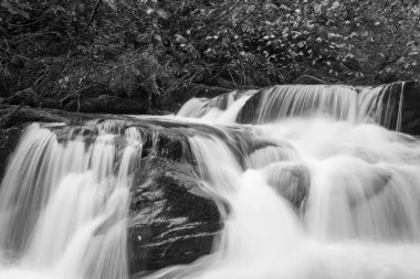 Watersmmet, Exmoor Ulusal Parkı 'ndaki Hoar Oak Nehri' ndeki bir şelalenin siyah ve beyaz fotoğrafı. 