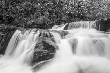 Watersmmet, Exmoor Ulusal Parkı 'ndaki Hoar Oak Nehri' ndeki bir şelalenin siyah ve beyaz fotoğrafı. 