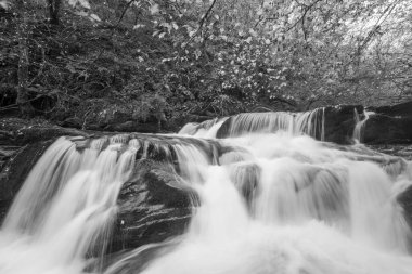 Watersmmet, Exmoor Ulusal Parkı 'ndaki Hoar Oak Nehri' ndeki bir şelalenin siyah ve beyaz fotoğrafı. 