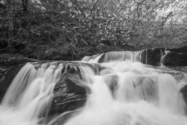 Watersmmet, Exmoor Ulusal Parkı 'ndaki Hoar Oak Nehri' ndeki bir şelalenin siyah ve beyaz fotoğrafı. 