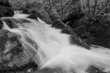 Watersmmet, Exmoor Ulusal Parkı 'ndaki Hoar Oak Nehri' ndeki bir şelalenin siyah ve beyaz fotoğrafı. 