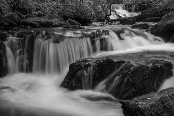 Sonbaharda Exmoor Ulusal Parkı Ndaki Watersmmet Hoar Oak Nehri Nde — Stok fotoğraf