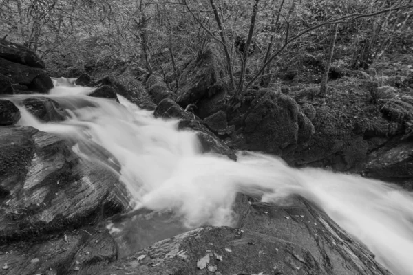 Foto Bianco Nero Una Cascata Sul Fiume Hoar Oak Water — Foto Stock