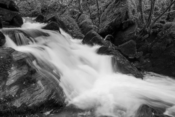 Exmoor国家公园的Hoar Oak Water River上瀑布的黑白照片 — 图库照片