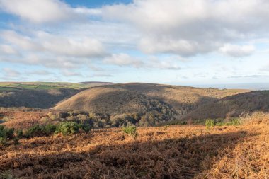 Exmoor Ulusal Parkı 'ndaki Horner Ormanı' nın Dunkery tepesinden görüntü