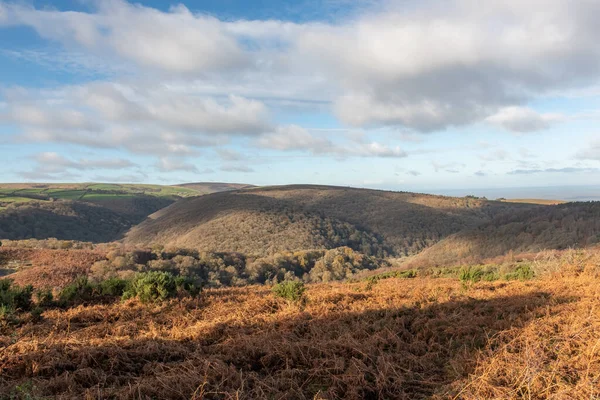 Vista Dunkery Colina Horner Bosques Exmoor National Park — Fotografia de Stock