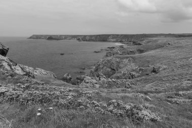 Cornwall 'daki Kertenkele' nin manzara fotoğrafı.