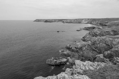 Cornwall 'daki Kertenkele' nin manzara fotoğrafı.