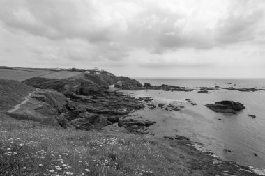 Cornwall 'daki Kertenkele' nin manzara fotoğrafı.