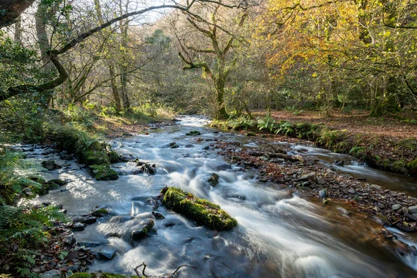 Długa Ekspozycja Rzeki Horner Water Przepływającej Przez Lasy Horner Somerset — Zdjęcie stockowe