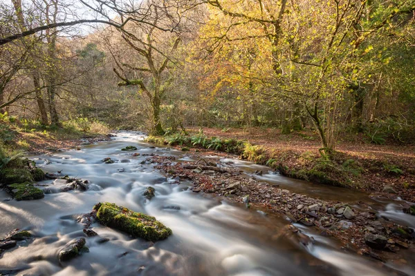 Lång Exponering Horner Water Floden Rinner Genom Horner Skogen Somerset — Stockfoto