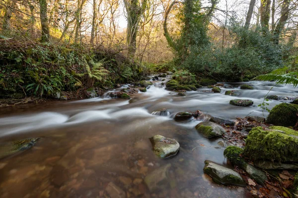 Lång Exponering Horner Water Floden Rinner Genom Horner Skogen Somerset — Stockfoto