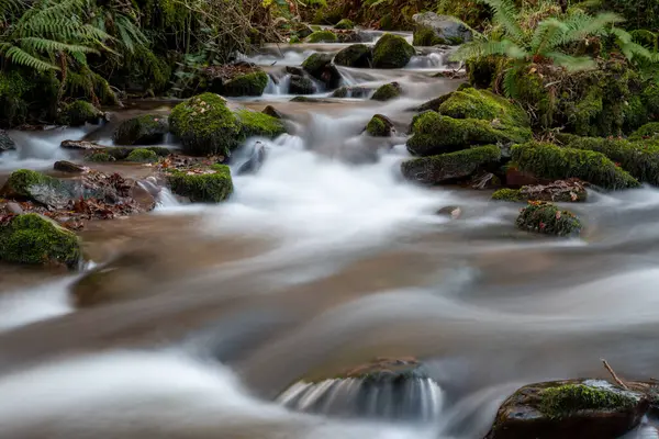 Lång Exponering Horner Water Floden Rinner Genom Horner Skogen Somerset — Stockfoto