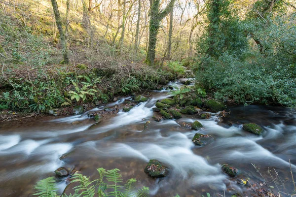 Lång Exponering Horner Water Floden Rinner Genom Horner Skogen Somerset — Stockfoto