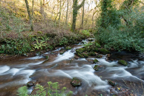 Lång Exponering Horner Water Floden Rinner Genom Horner Skogen Somerset — Stockfoto