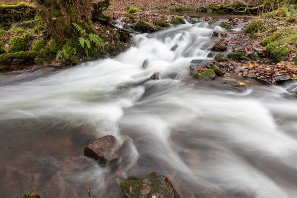 Expunerea Îndelungată Râului Horner Water Care Curge Prin Pădurile Horner — Fotografie, imagine de stoc
