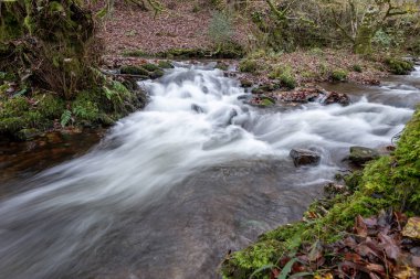 Somerset 'teki Horner Ormanı' ndan akan Horner Nehri 'nin uzun pozu