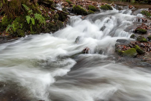 Lång Exponering Horner Water Floden Rinner Genom Horner Skogen Somerset — Stockfoto