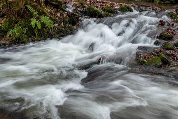 Lång Exponering Horner Water Floden Rinner Genom Horner Skogen Somerset — Stockfoto