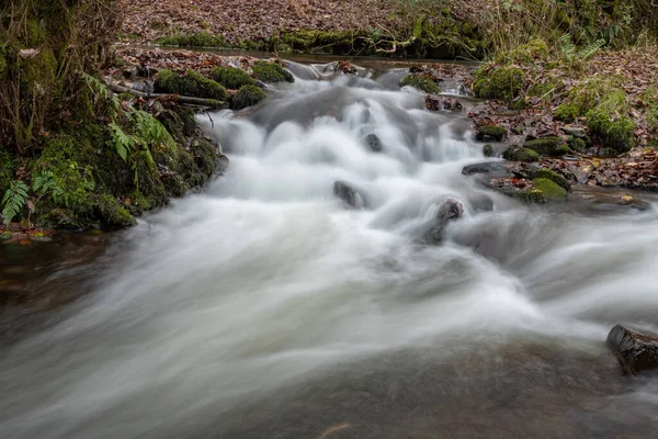 Lång Exponering Horner Water Floden Rinner Genom Horner Skogen Somerset — Stockfoto