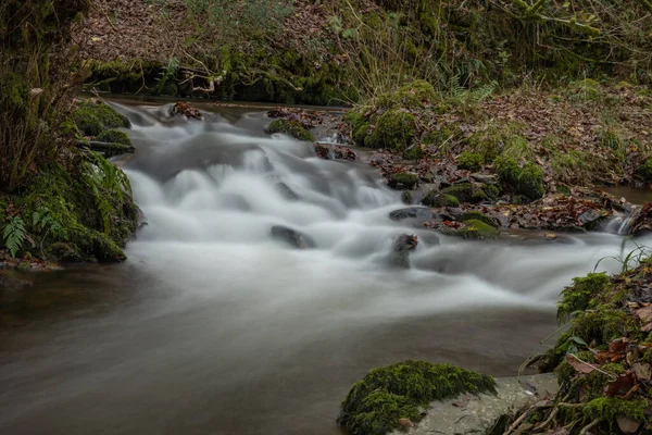 Lång Exponering Horner Water Floden Rinner Genom Horner Skogen Somerset — Stockfoto