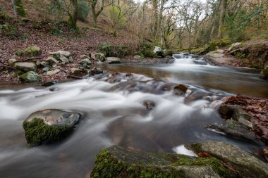 Somerset 'teki Horner Ormanı' ndan akan Horner Nehri 'nin uzun pozu