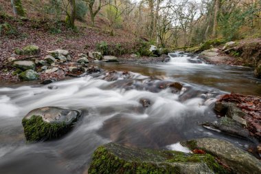 Somerset 'teki Horner Ormanı' ndan akan Horner Nehri 'nin uzun pozu