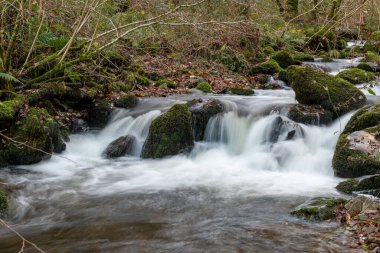 Somerset 'teki Horner Ormanı' ndan akan Horner Nehri 'nin uzun pozu