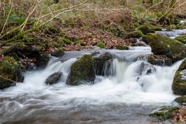 Somerset 'teki Horner Ormanı' ndan akan Horner Nehri 'nin uzun pozu