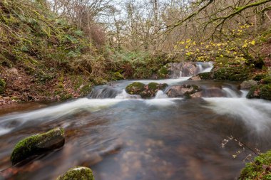 Somerset 'teki Horner Ormanı' ndan akan Horner Nehri 'nin uzun pozu