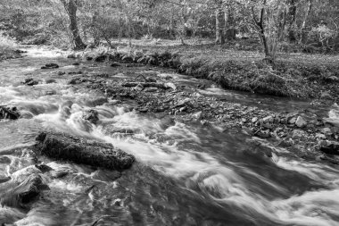 Somerset 'teki Horner Ormanı' ndan akan Horner Nehri 'nin uzun pozu