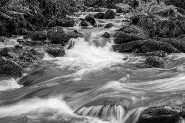 Somerset 'teki Horner Ormanı' ndan akan Horner Nehri 'nin uzun pozu
