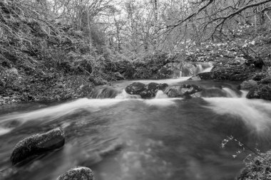 Somerset 'teki Horner Ormanı' ndan akan Horner Nehri 'nin uzun pozu
