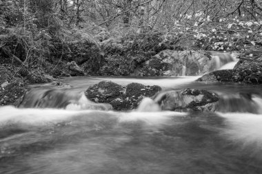 Somerset 'teki Horner Ormanı' ndan akan Horner Nehri 'nin uzun pozu