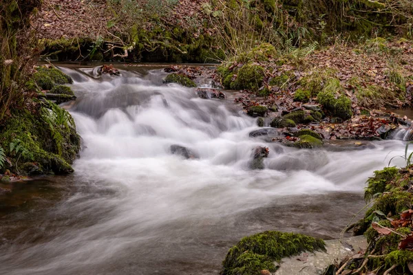 Expunerea Îndelungată Râului Horner Water Care Curge Prin Pădurile Horner — Fotografie, imagine de stoc