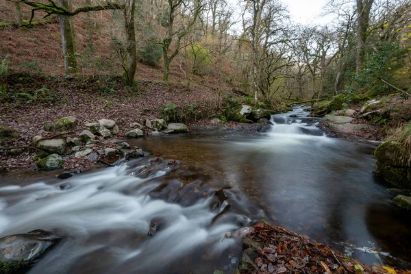 Lång Exponering Horner Water Floden Rinner Genom Horner Skogen Somerset — Stockfoto