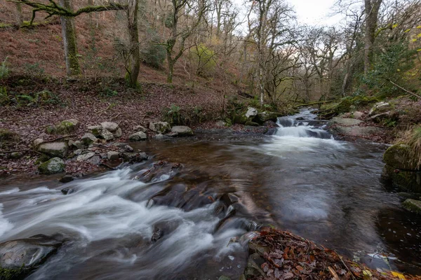 Long Exposure Horner Water River Flowing Horner Woods Somerset — Stock Photo, Image