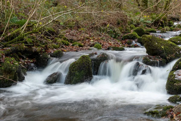 Lång Exponering Horner Water Floden Rinner Genom Horner Skogen Somerset — Stockfoto