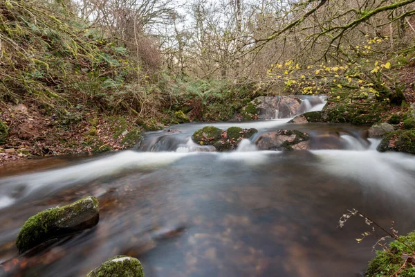 Lång Exponering Horner Water Floden Rinner Genom Horner Skogen Somerset — Stockfoto